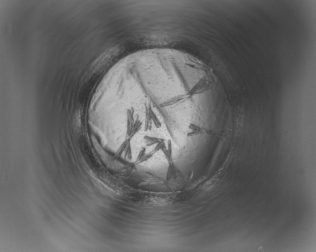 X0000076300166200610201556