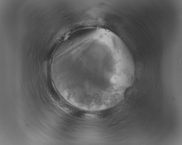 X0000076300167200610201556