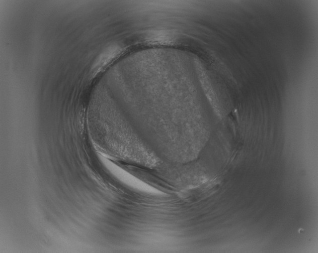 X0000076300168200610201556