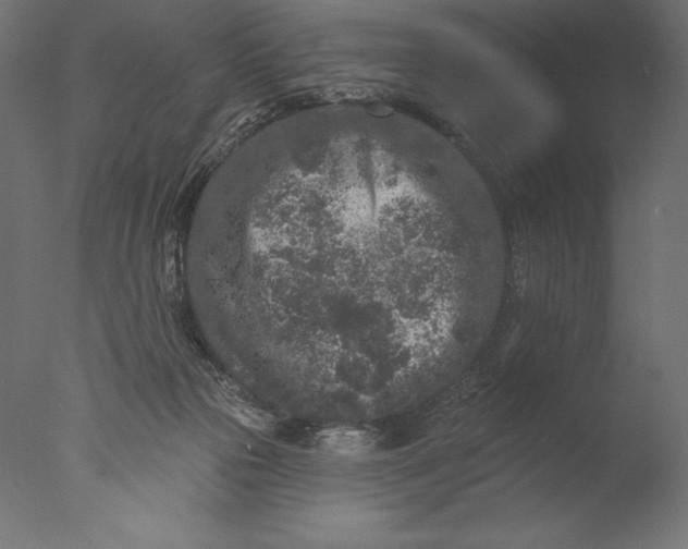 X0000076300169200610201556