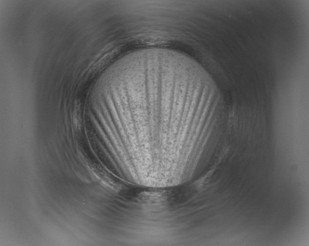 X0000076300170200610201556