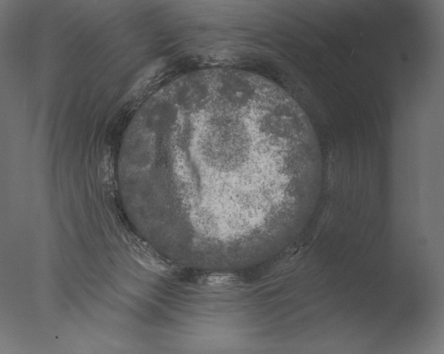 X0000076300173200610201556