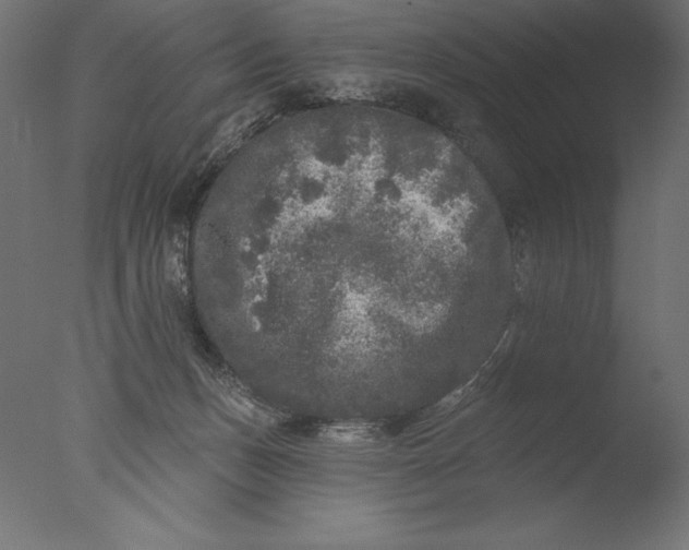 X0000076300175200610201556