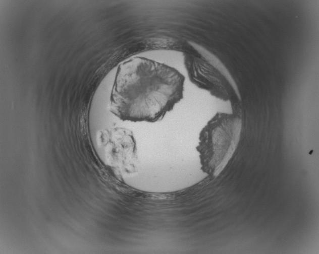 X0000076300177200610201556