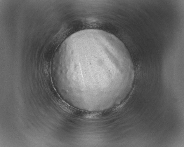 X0000076300178200610201556