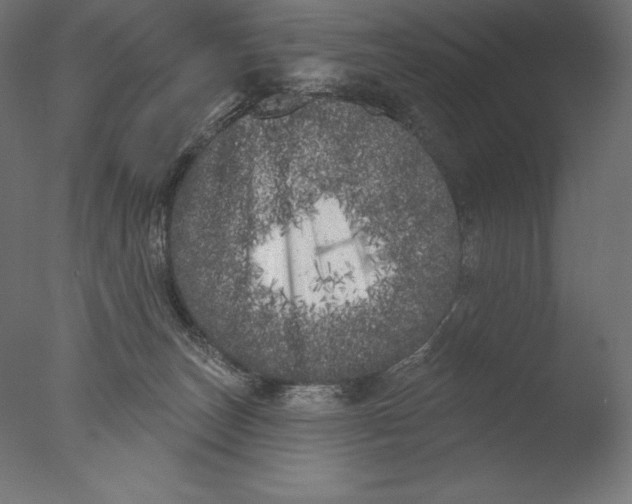 X0000076300179200610201556