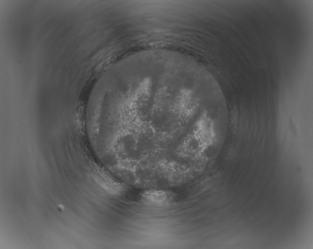 X0000076300181200610201556