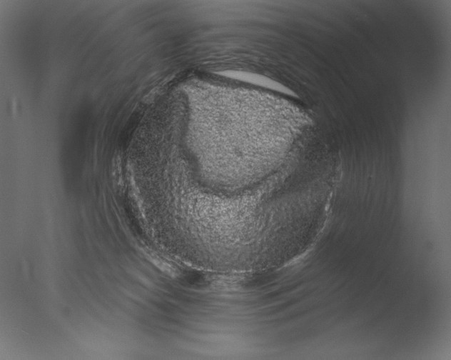 X0000076300182200610201556