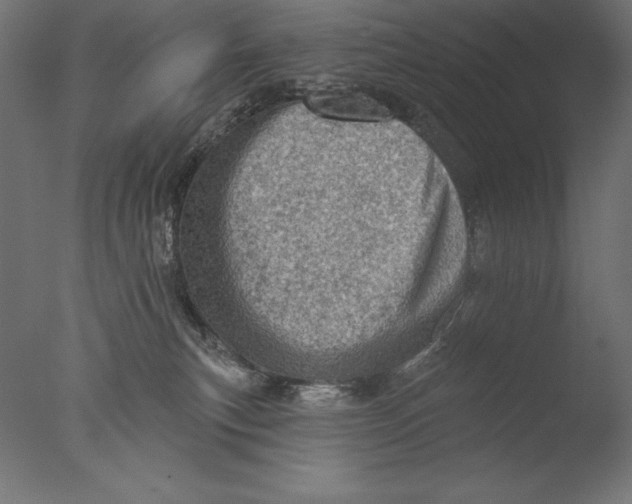 X0000076300183200610201556