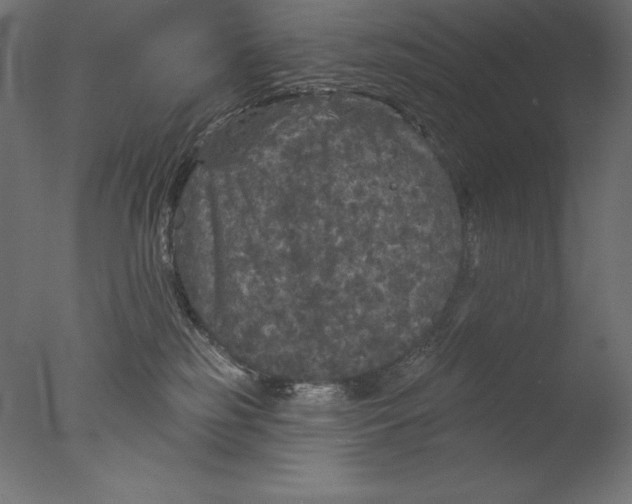 X0000076300185200610201556