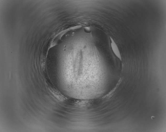 X0000076300186200610201556