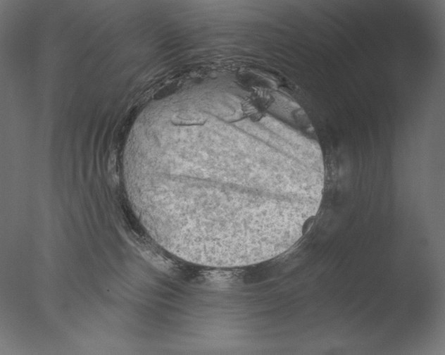 X0000076300187200610201556