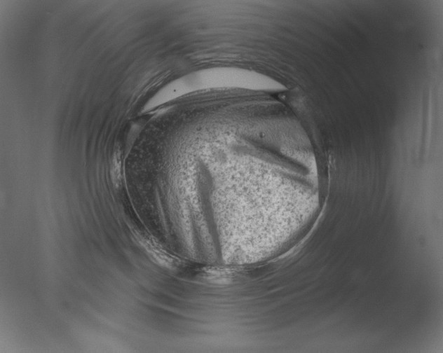 X0000076300190200610201556