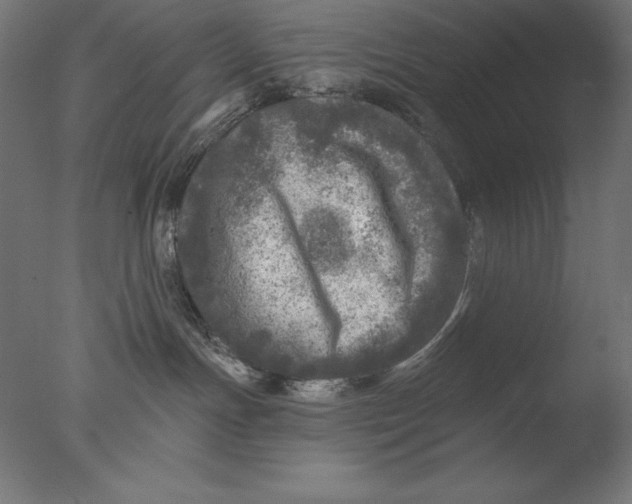 X0000076300191200610201556