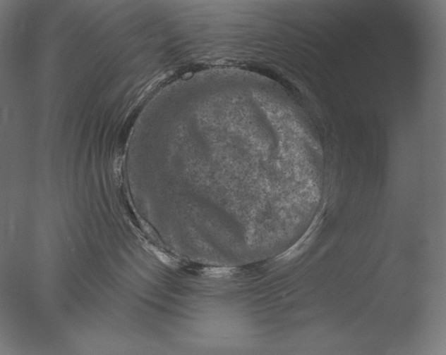 X0000076300192200610201556