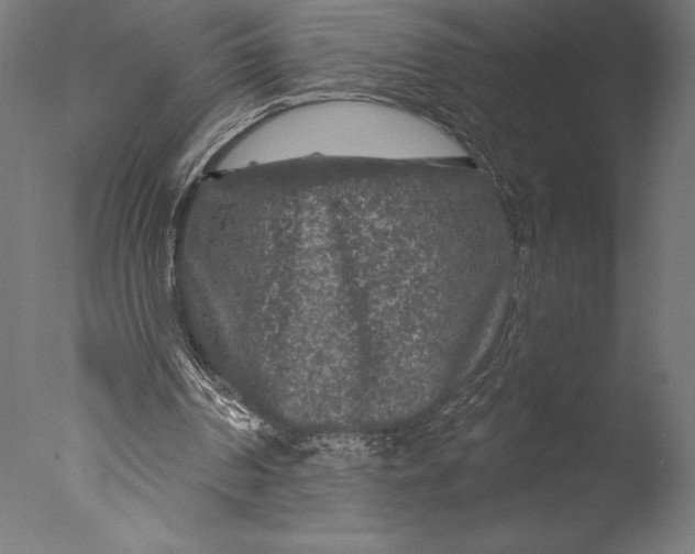 X0000076300194200610201555