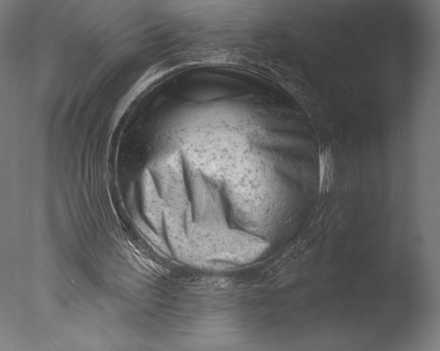 X0000076300195200610201555