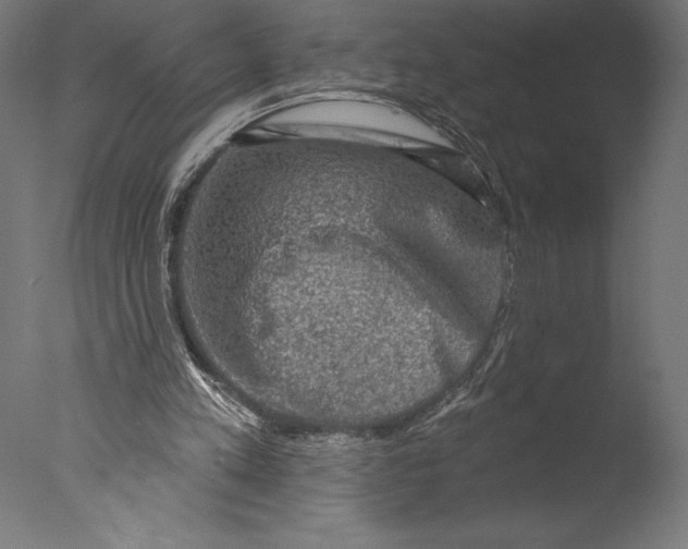 X0000076300197200610201555