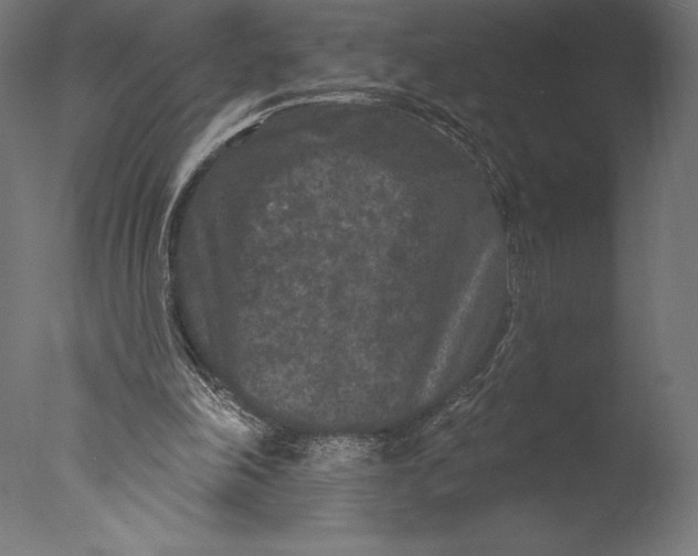 X0000076300198200610201555