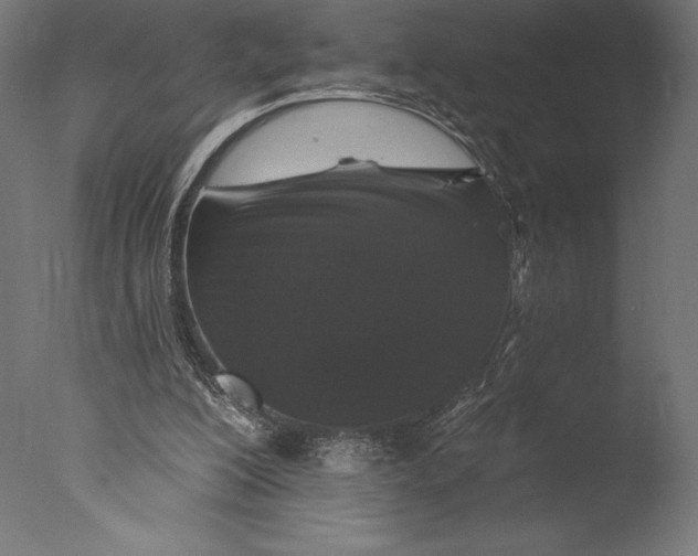 X0000076300200200610201555