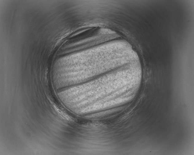 X0000076300201200610201555