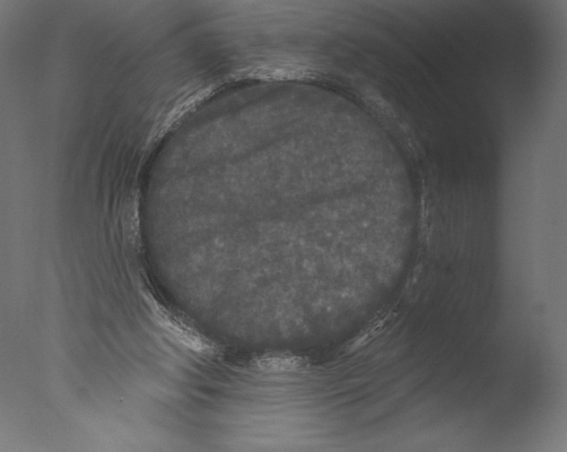 X0000076300202200610201555