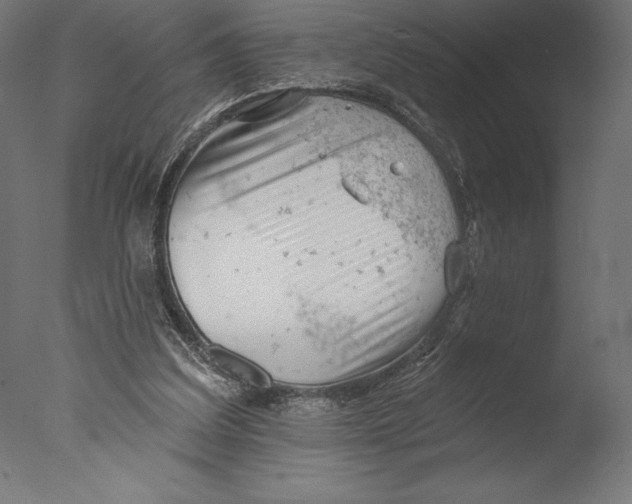 X0000076300203200610201555