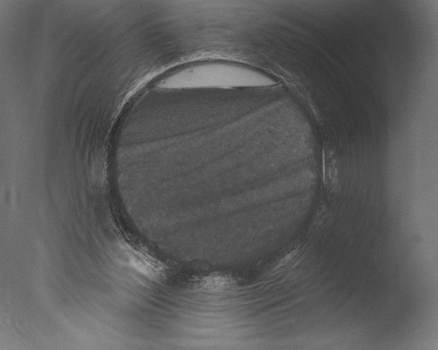 X0000076300204200610201555