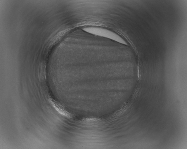 X0000076300205200610201555