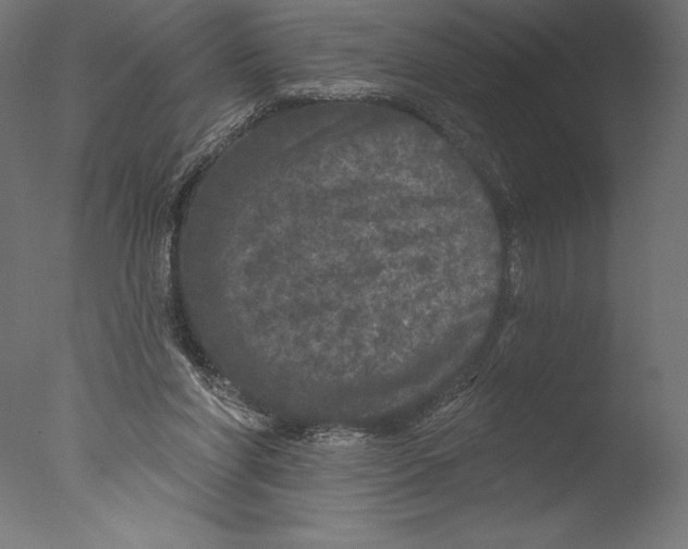 X0000076300206200610201555