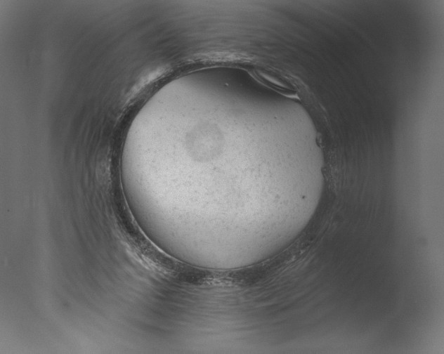 X0000076300207200610201555