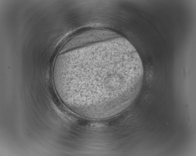 X0000076300208200610201555