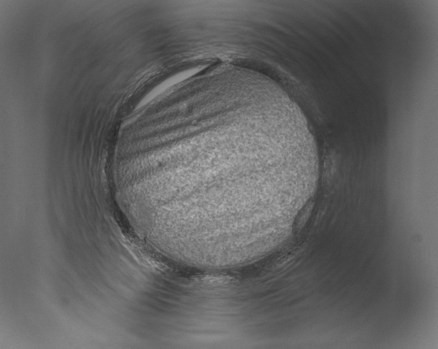 X0000076300209200610201555