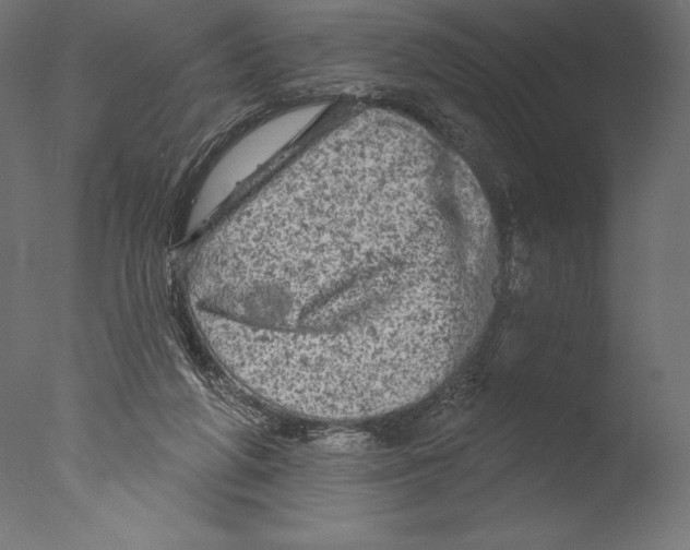 X0000076300210200610201555