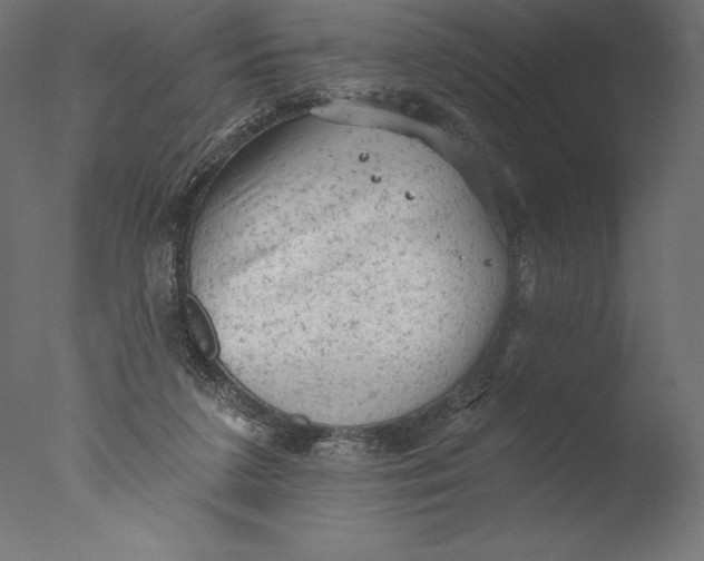 X0000076300211200610201555