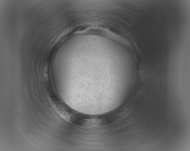 X0000076300212200610201555