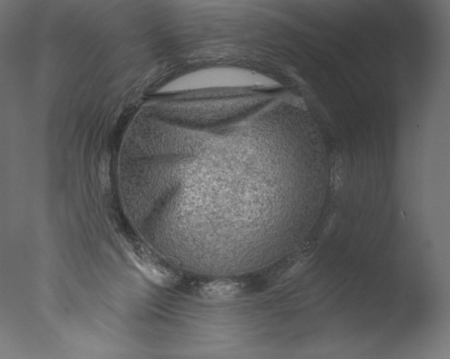 X0000076300213200610201555