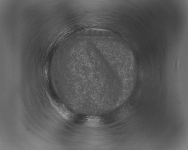 X0000076300214200610201555