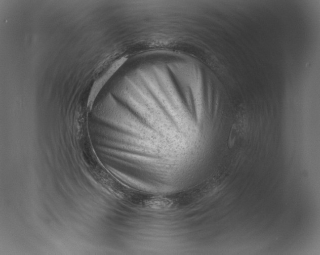 X0000076300215200610201555