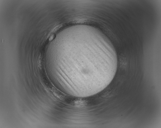 X0000076300216200610201555