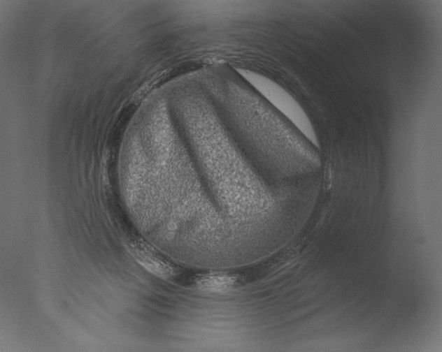 X0000076300217200610201555