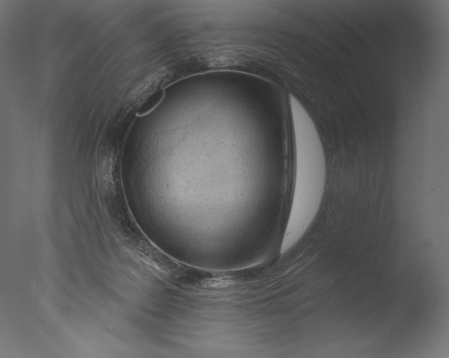 X0000076300219200610201555