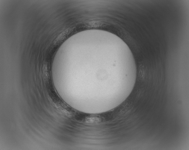 X0000076300220200610201555