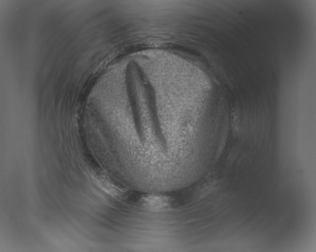 X0000076300221200610201555