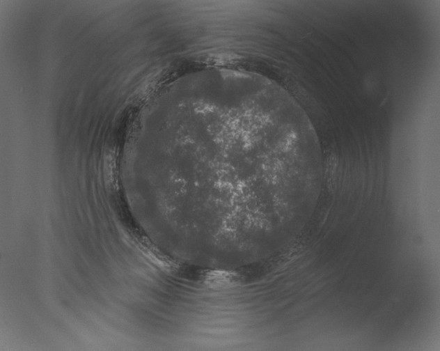 X0000076300222200610201555