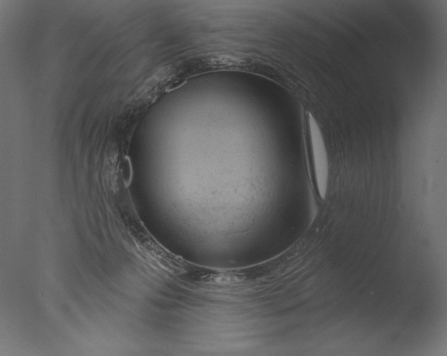 X0000076300223200610201555