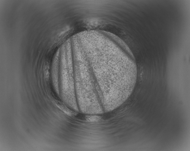 X0000076300226200610201555