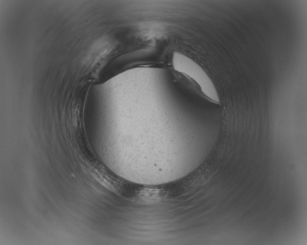 X0000076300227200610201555