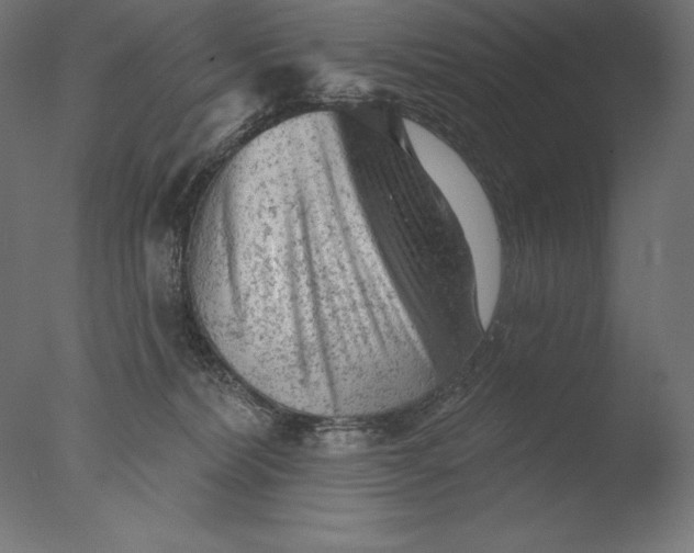 X0000076300228200610201555