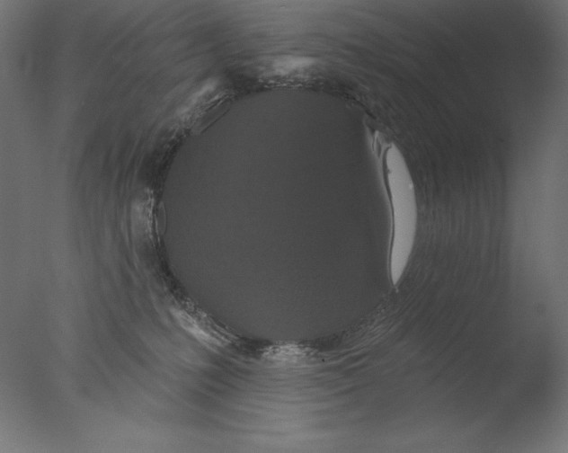 X0000076300231200610201555